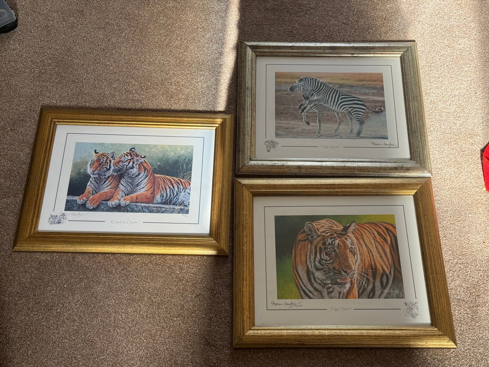 3 x Limited Edition Animal Prints By Artist Stephen Gayford All Framed In Matching Frames - 7
