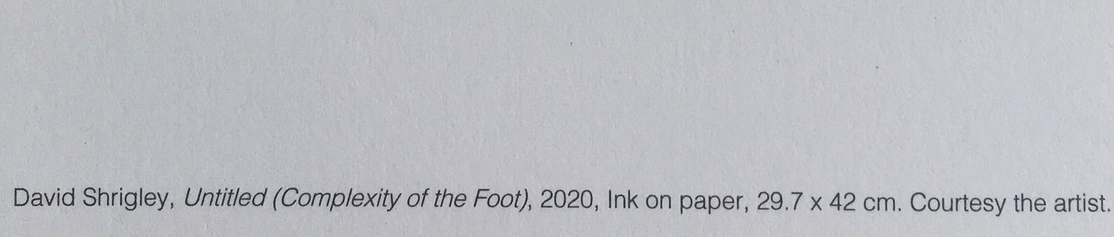 David Shrigley OBE (b 1968)‘Complexity of The Foot’ Offset Lithograph, Ltd Edition of 35 - 10