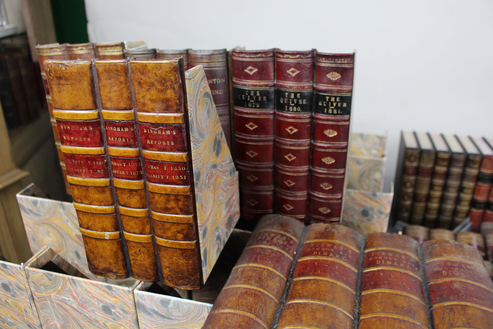 Substantial Collection of Decorative Faux Leather Fake Books - 12