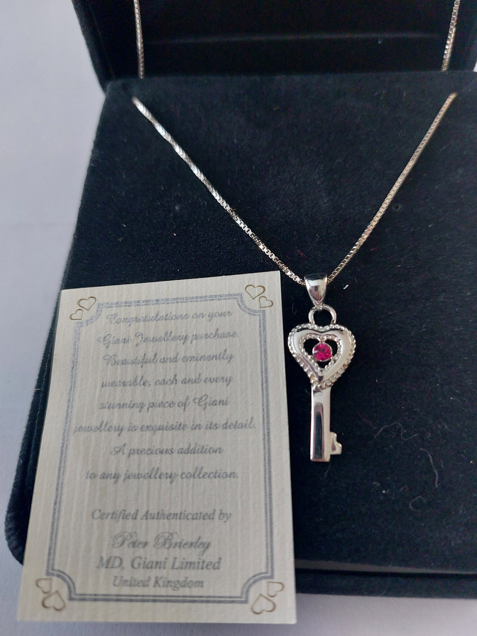 Key Pendant With Red Stone and Chain - 2