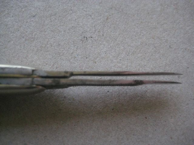 Antique Horn Hafted Multi-Bladed Penknife, c1900 - 12
