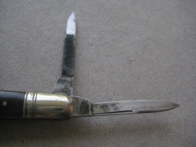 Antique Horn Hafted Multi-Bladed Penknife, c1900 - 3