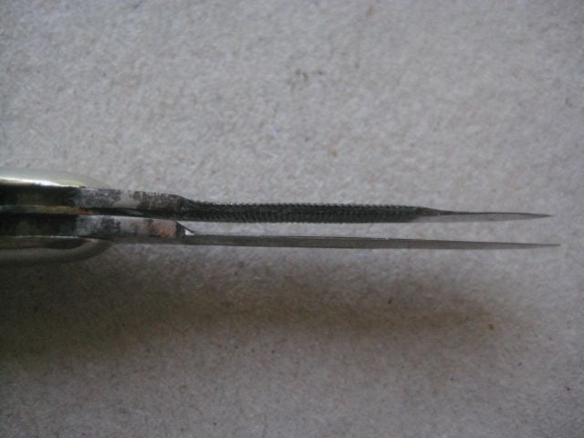 Antique Horn Hafted Multi-Bladed Penknife, c1900 - 9