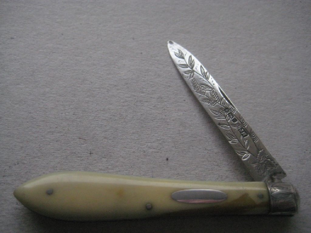 Rare Victorian Silver Bladed Folding Fruit Knife, Sheffield 1882 (1 of 9)