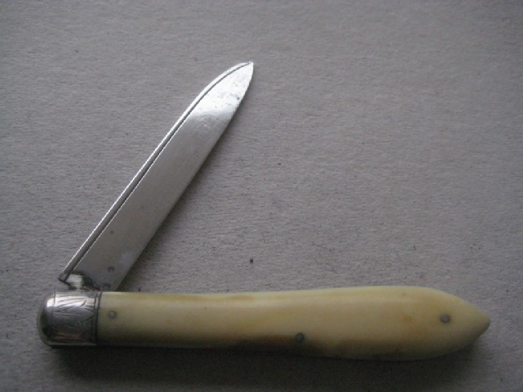 Rare Victorian Silver Bladed Folding Fruit Knife, Sheffield 1882 - 2