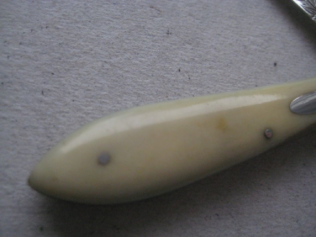 Rare Victorian Silver Bladed Folding Fruit Knife, Sheffield 1882 - 3