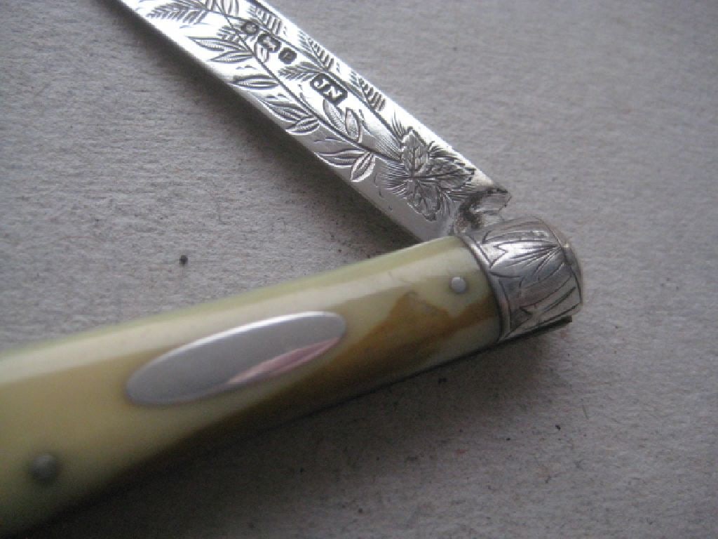 Rare Victorian Silver Bladed Folding Fruit Knife, Sheffield 1882 - 4