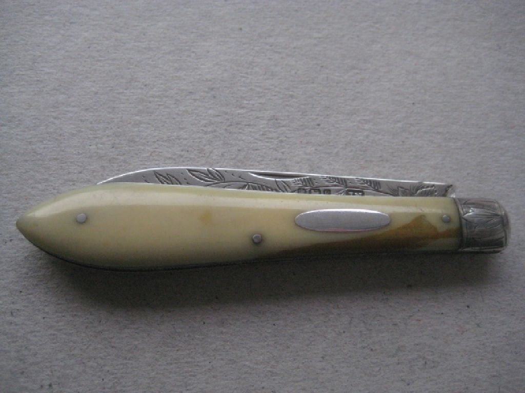 Rare Victorian Silver Bladed Folding Fruit Knife, Sheffield 1882 - 8