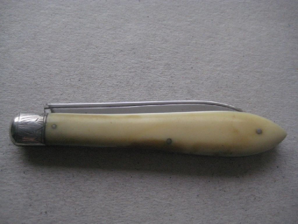 Rare Victorian Silver Bladed Folding Fruit Knife, Sheffield 1882 - 9