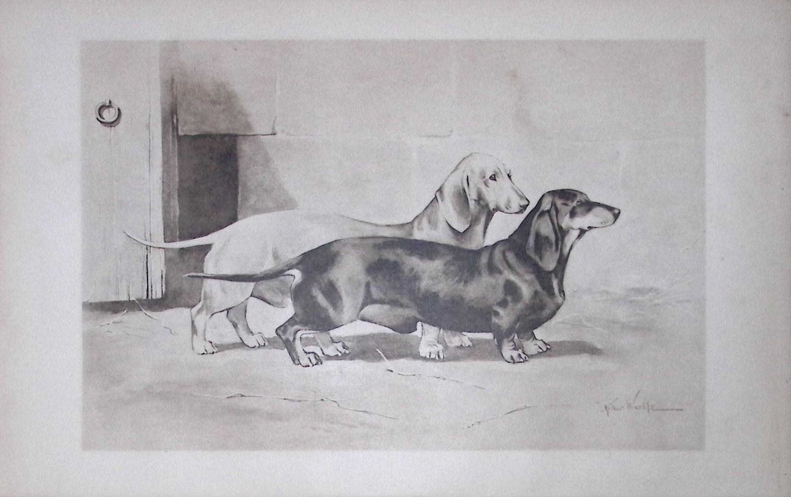 Pair Dachshunds Antique Book Plate Rawdon Lee Modern Dogs 1906-66: Title: Pair Dachshunds Antique Book Plate Rawdon Lee Modern Dogs 1906-66 Description: This Antique Book Plate Was Removed from an Edition of Modern Dogs by Rawdon Lee 1893. Each Print Measures Approx