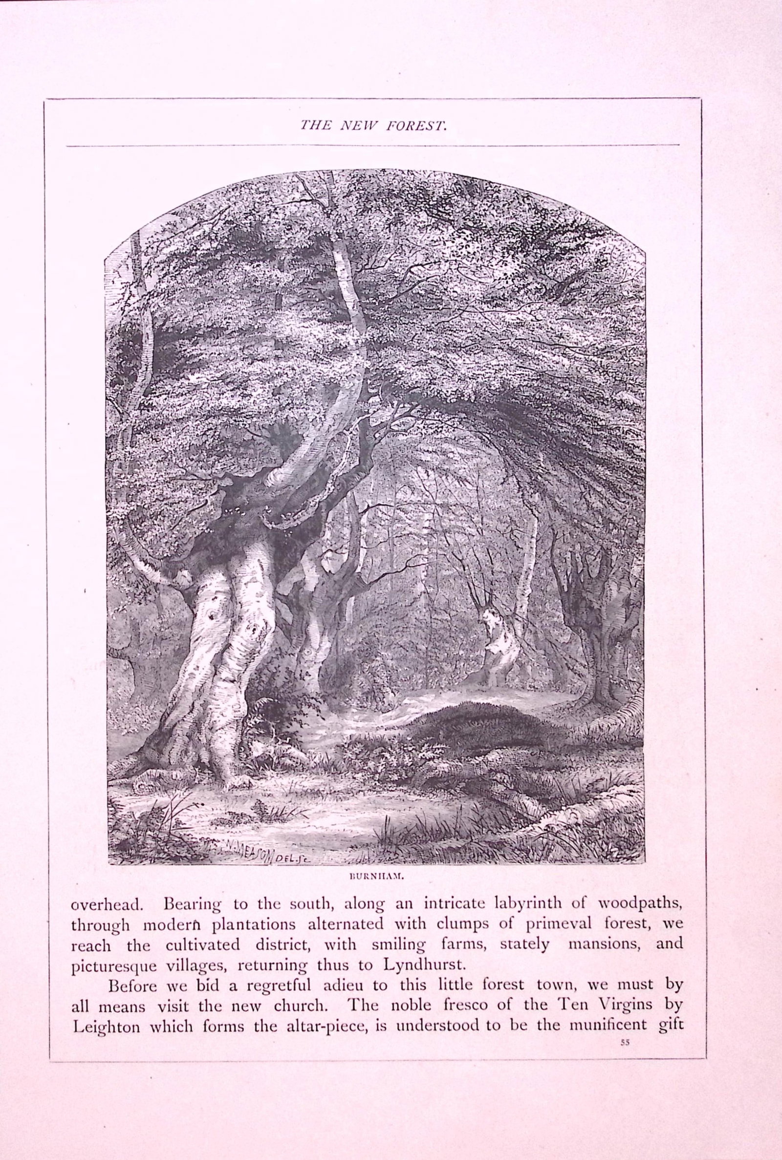 Burnham The New Forest Antique 147 Years-Old Illustration-18: Title: Burnham The New Forest Antique 147 Years-Old Illustration-18 Description: This Antique Illustration Was Removed from a 147-Year-Old Edition of. English Pictures Drawn with Pen & Paper 1879
