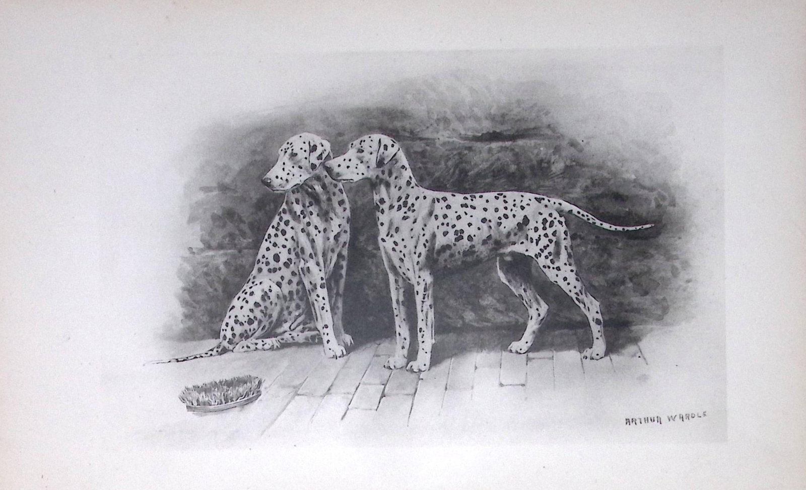 Dalmatians Antique Book Plate Rawdon Lee Modern Dogs 1893-11: Title: Dalmatians Antique Book Plate Rawdon Lee Modern Dogs 1893-11 Description: This Antique Book Plate Was Removed from an Edition of Modern Dogs by Rawdon Lee 1893. Each Print Measures Approx Each