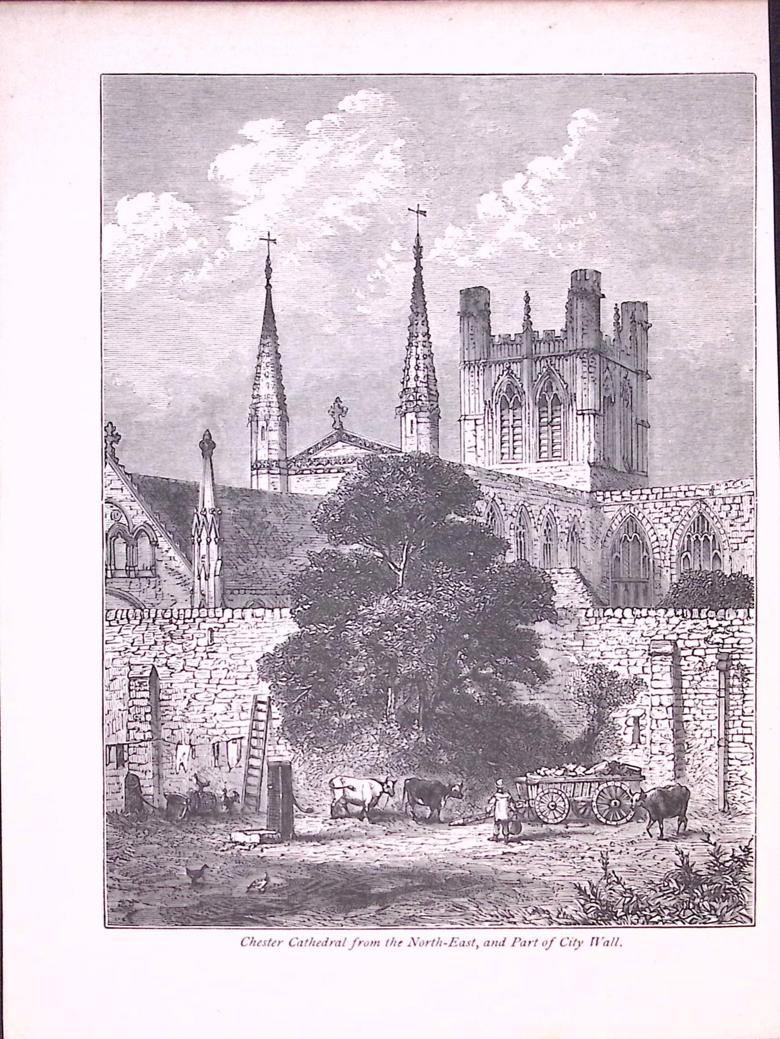 Chester Cathedral from the North-East Antique 134 Years-Old Illustration-1: Title: Chester Cathedral from the North-East Antique 134 Years-Old Illustration-1 Description: This Antique Illustration Was Removed from a 134-Year-Old Edition of. The River Dee aspects And Hi