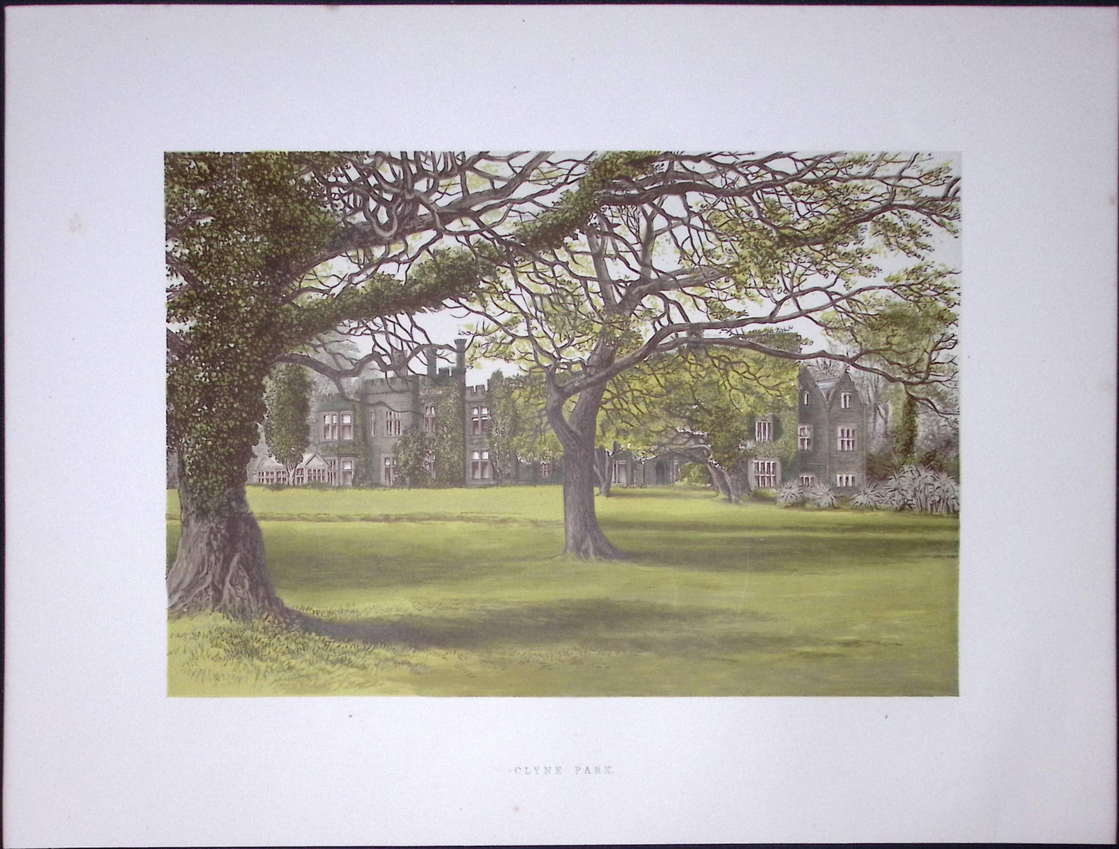 Clyne Park Swansea Wales 160 Years-Old Gilt-Edge Coloured Antique Book Plate-10: Title: Clyne Park Swansea Wales 160 Years-Old Gilt-Edge Coloured Antique Book Plate-10 Description: This Stunning Gilt-Edged Colour Plate illustrated by Alexander Francis Lydon and Coloured By.
