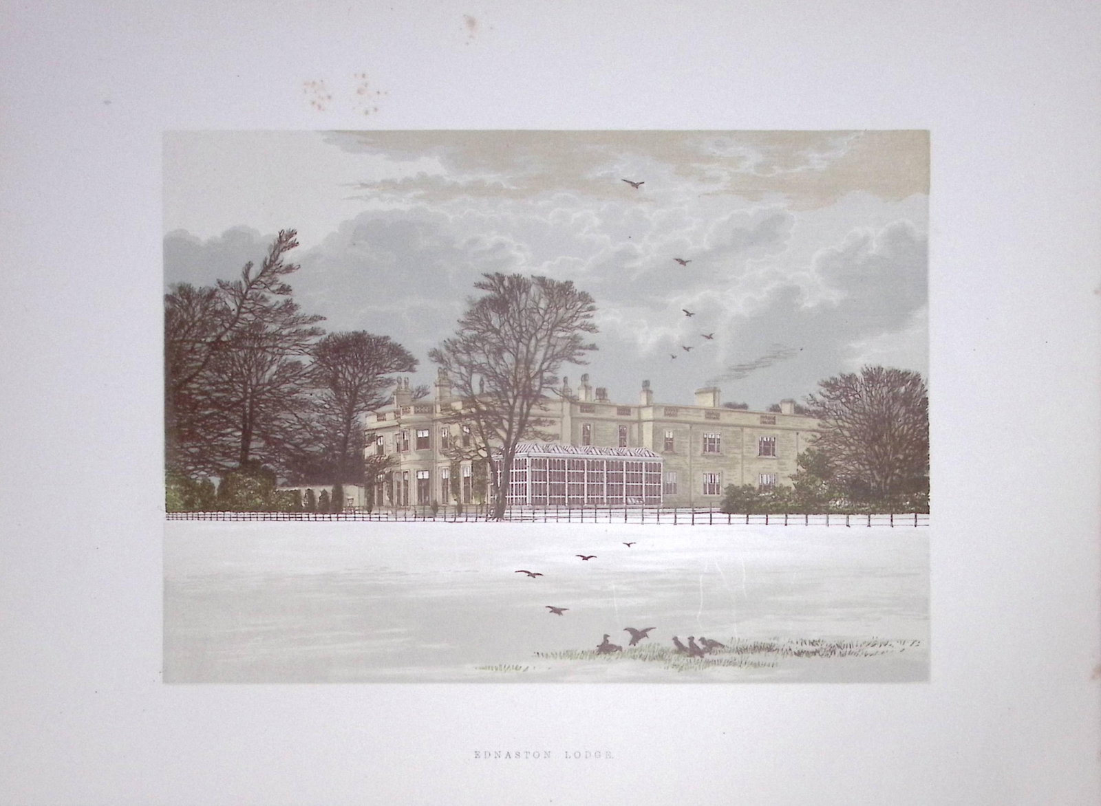 Ednaston Lodge Derby 160 Years-Old Gilt-Edge Antique Coloured Book Plate-34: Title: Ednaston Lodge Derby 160 Years-Old Gilt-Edge Antique Coloured Book Plate-34 Description: This Stunning Gilt-Edged Colour Plate illustrated by Alexander Francis Lydon and Coloured By. Benjamin