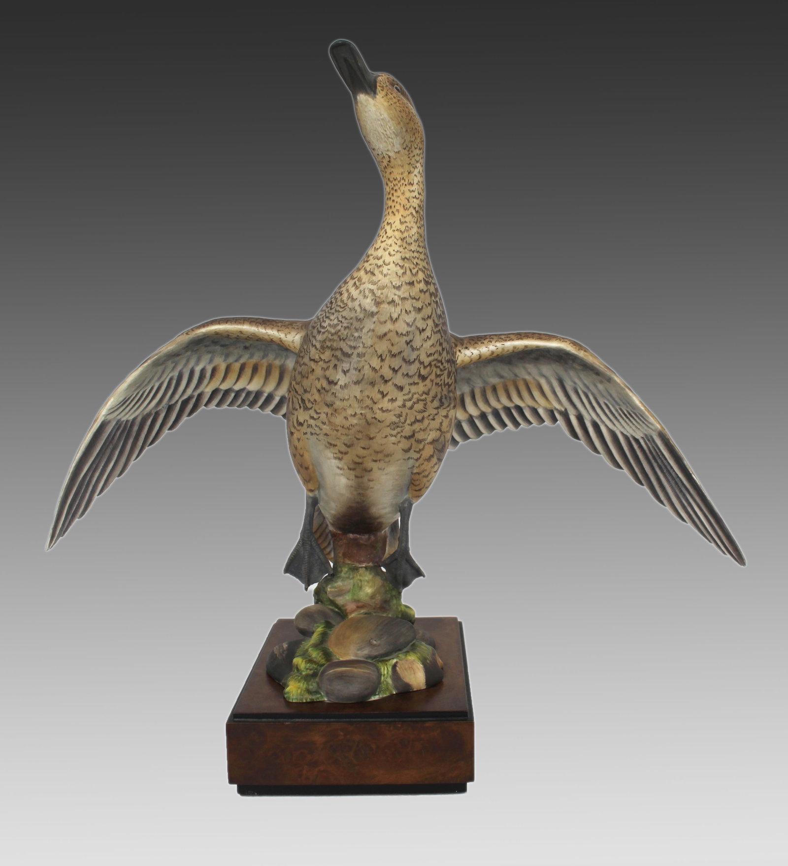 Royal Worcester ‘American Pintail’ by Ronald Van Ruyckevelt, 1970 - 12