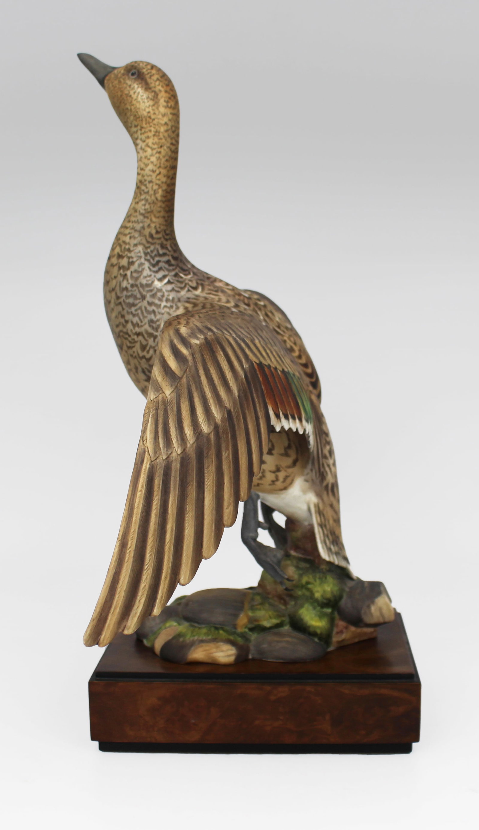 Royal Worcester ‘American Pintail’ by Ronald Van Ruyckevelt, 1970 - 15