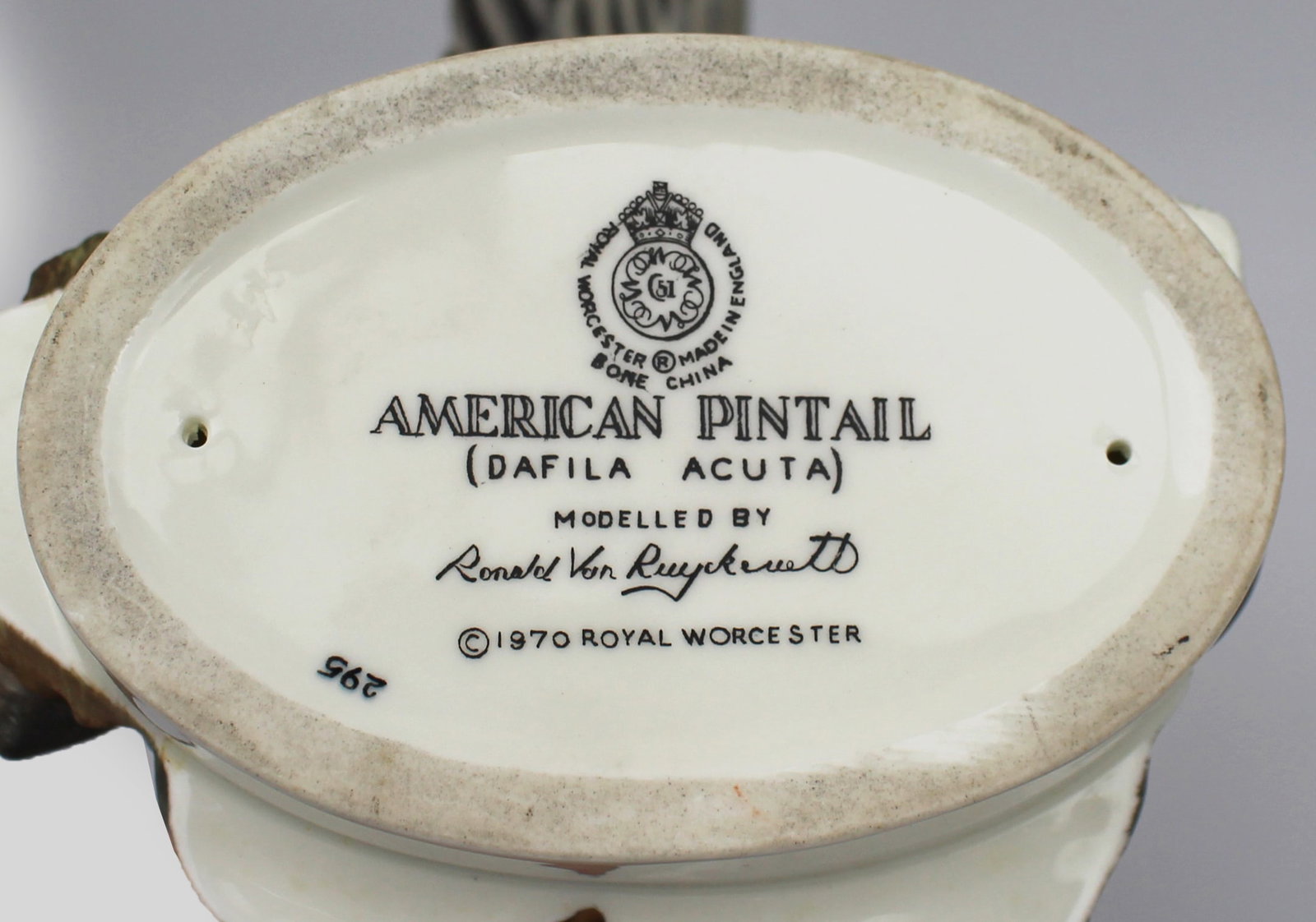 Royal Worcester ‘American Pintail’ by Ronald Van Ruyckevelt, 1970 - 18