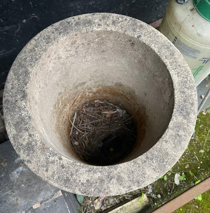 Cylindrical Concrete Stone Planter - 2