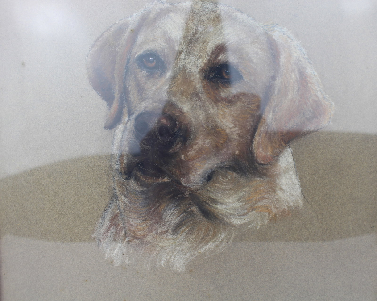 Pair of Original Pastel Animal Portraits by Jeanne Rynhart (1946-2020) - 6