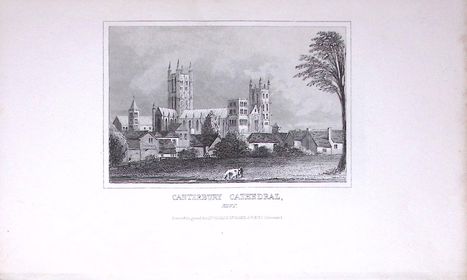 Canterbury Cathedral Dugdale & Archer Antique 180 Years-Old Copper Plate Print-14 (1 of 1)