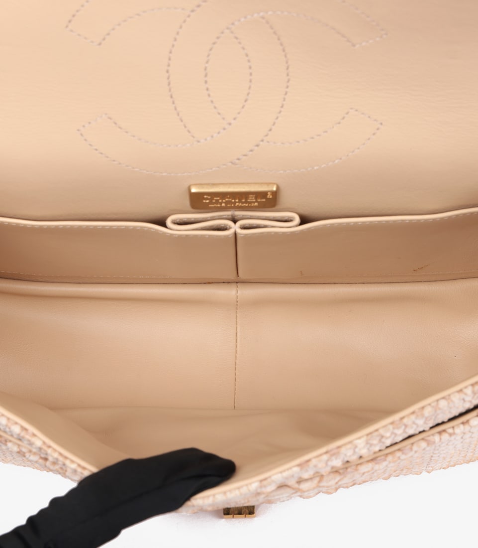 Chanel Beige Python Leather 226 2.55 Reissue Double Flap Bag - 10