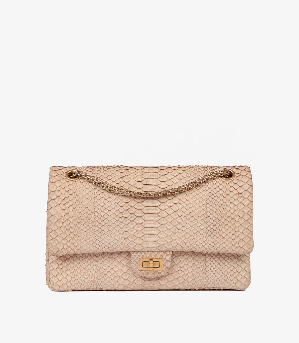 Chanel Beige Python Leather 226 2.55 Reissue Double Flap Bag (1 of 11)