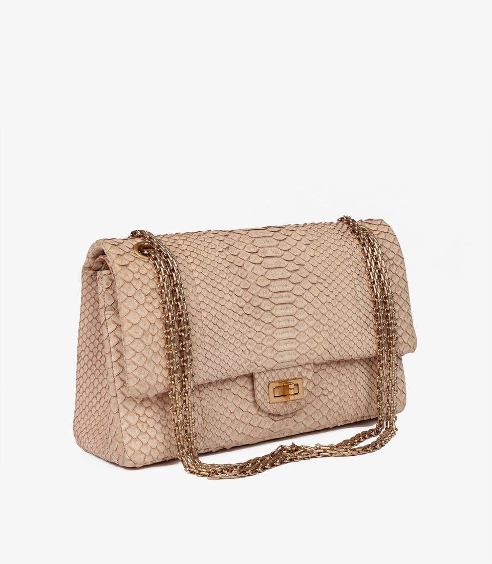 Chanel Beige Python Leather 226 2.55 Reissue Double Flap Bag - 3