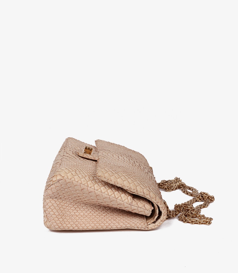 Chanel Beige Python Leather 226 2.55 Reissue Double Flap Bag - 5