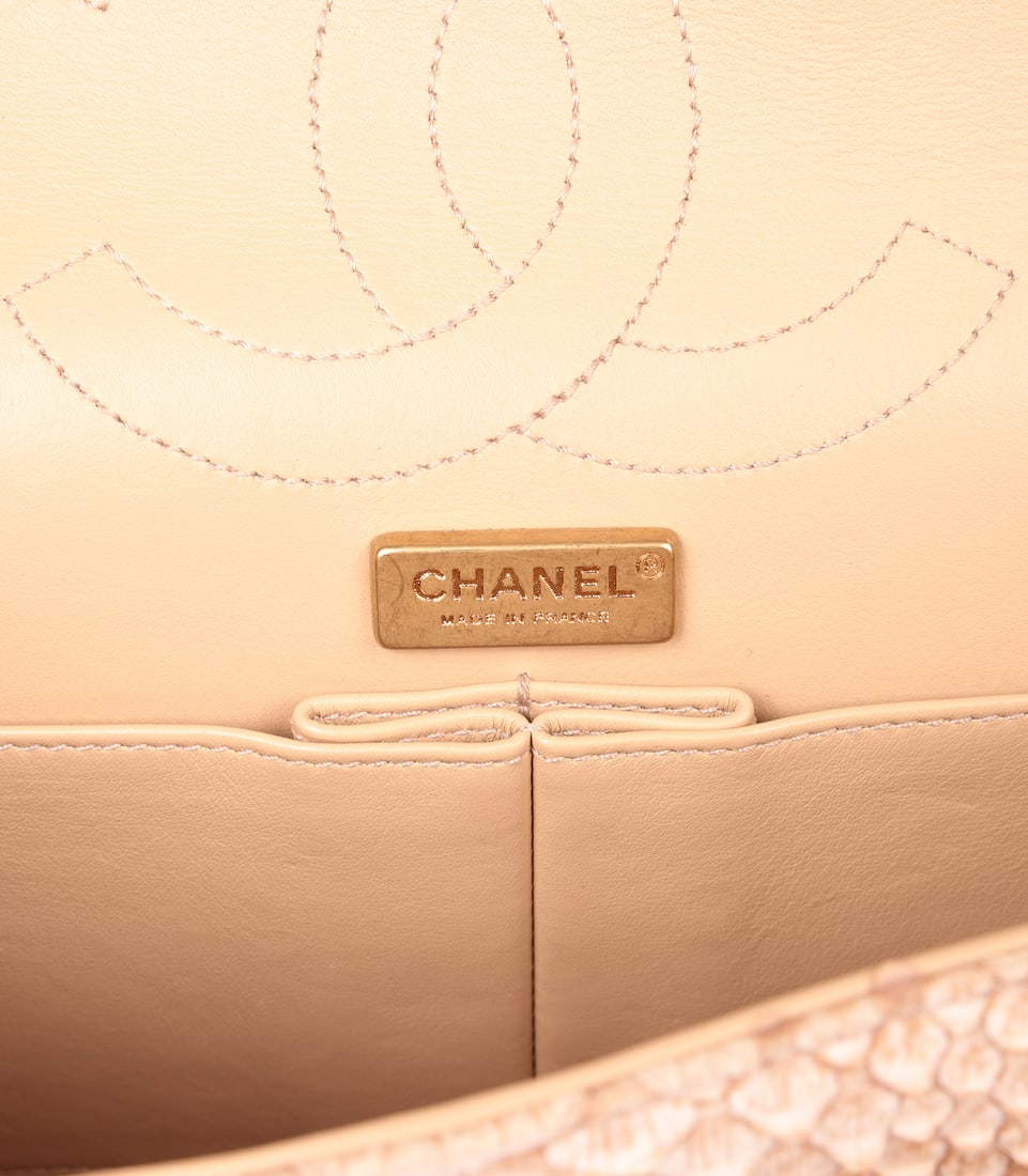 Chanel Beige Python Leather 226 2.55 Reissue Double Flap Bag - 9