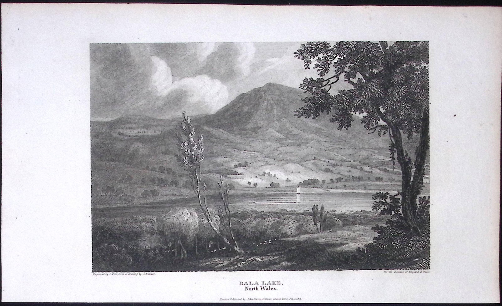 Bala Lake Gwynedd Wales Antique 213 Years-Old Georgian Steel-Engraving-208 (1 of 2)