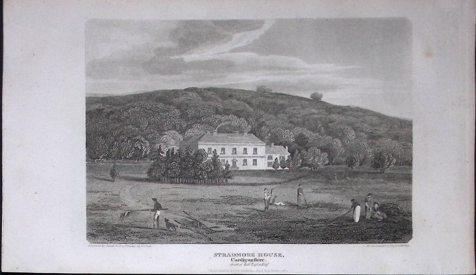 Stradmore House Cardigan Wales 211 Years-Old Georgian Steel-Engraving-479: Title: Stradmore House Cardigan Wales 211 Years-Old Georgian Steel-Engraving-479 Description: Stradmore House Cardigan Wales 211 Years-Old Georgian Steel-Engraving-479 This Welsh Georgian Antiq