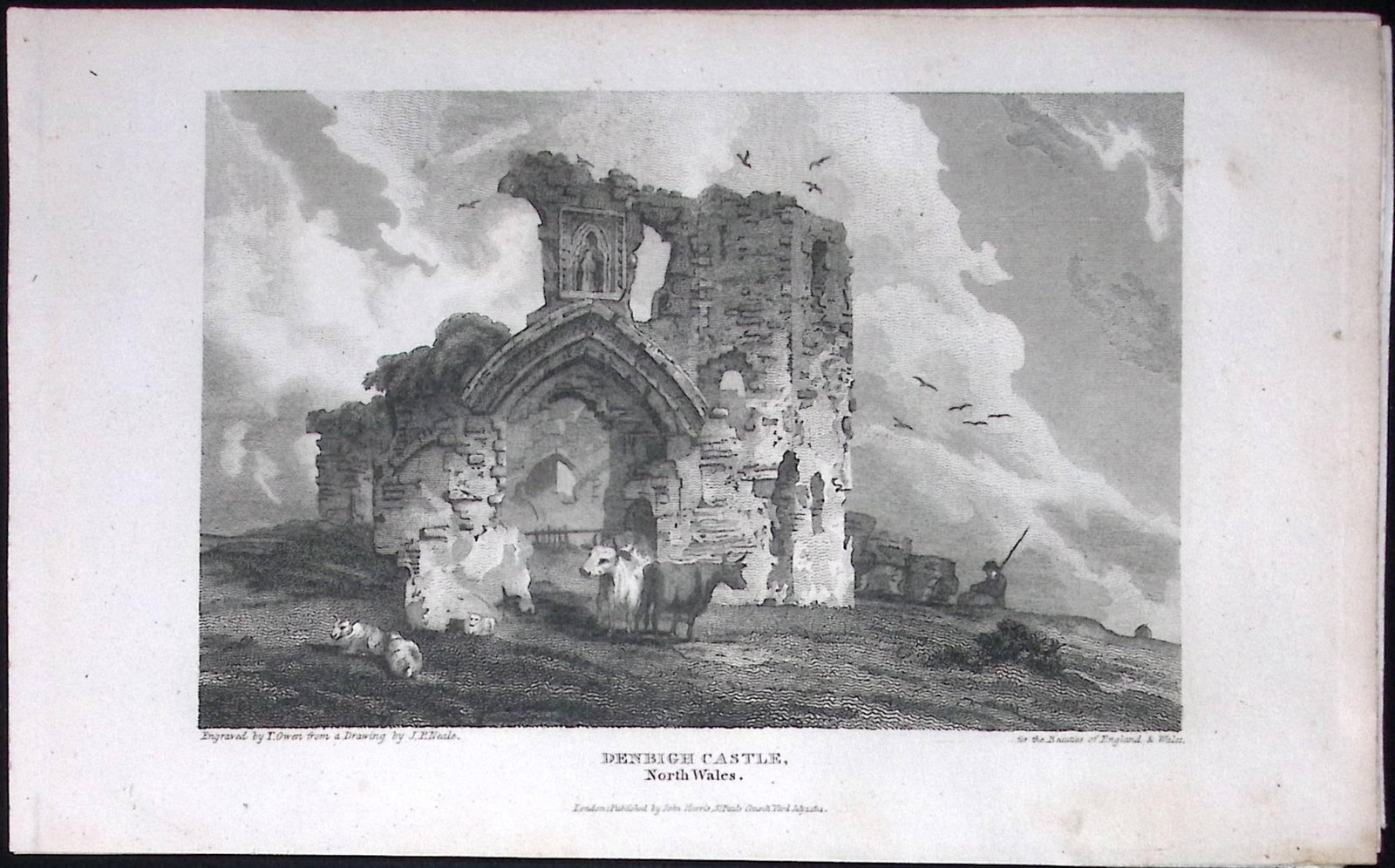 Denbigh Castle Wales Antique 213 Years-Old Georgian Steel-Engraving-194.: Title: Denbigh Castle Wales Antique 213 Years-Old Georgian Steel-Engraving-194. Description: Denbigh Castle Wales Antique 213 Years-Old Georgian Steel-Engraving-194. This North Wales Georgian A
