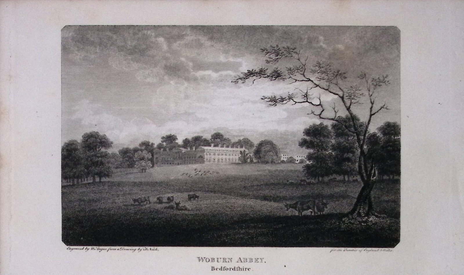 Woburn Abbey Bedford Antique 218 Years-Old Georgian Steel-Engraving-312. (1 of 2)