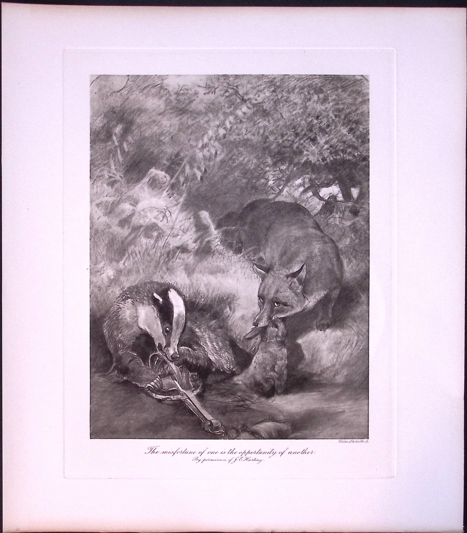 Job-Lot J.G. Millais Rare Limited-Edition Stoats & Badgers Antique Prints-20 - 2