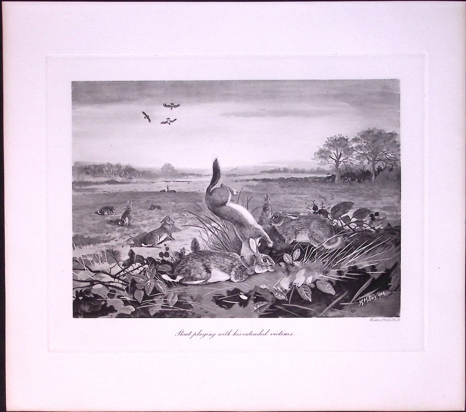 Job-Lot J.G. Millais Rare Limited-Edition Stoats & Badgers Antique Prints-20 - 3