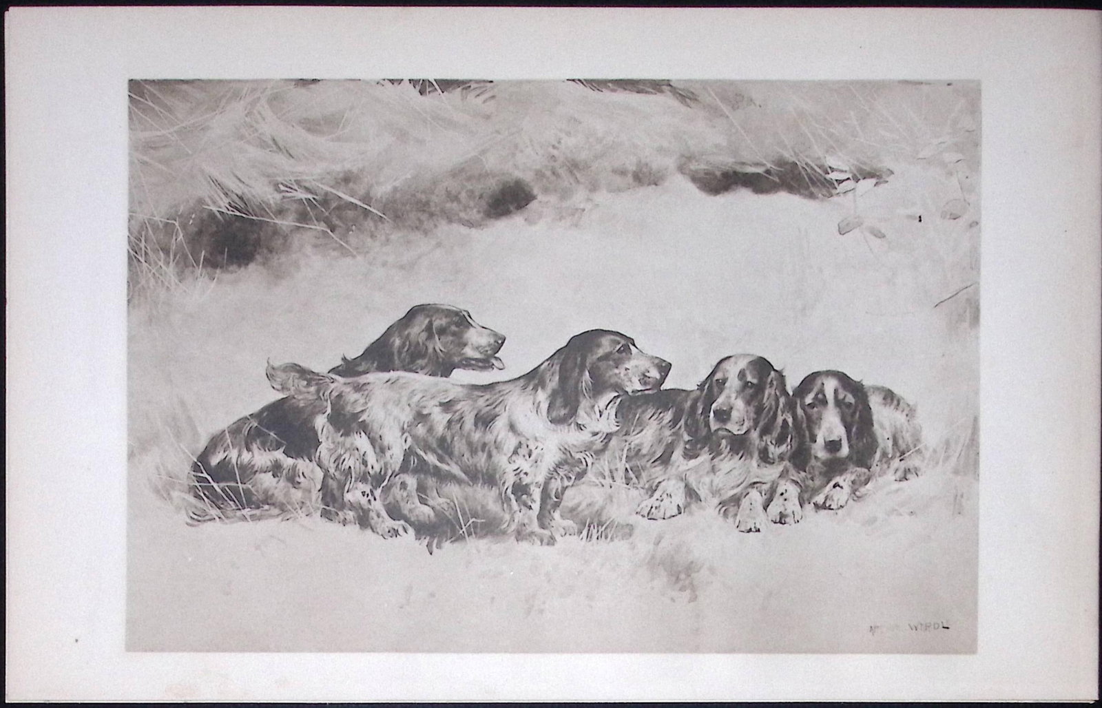 Group of Spaniels Antique Book Plate Rawdon Lee Modern Dogs 1893-50: Title: Group of Spaniels Antique Book Plate Rawdon Lee Modern Dogs 1893-50 Description: This Antique Book Plate Was Removed from an Edition of Modern Dogs by Rawdon Lee 1893. Each Print Measures