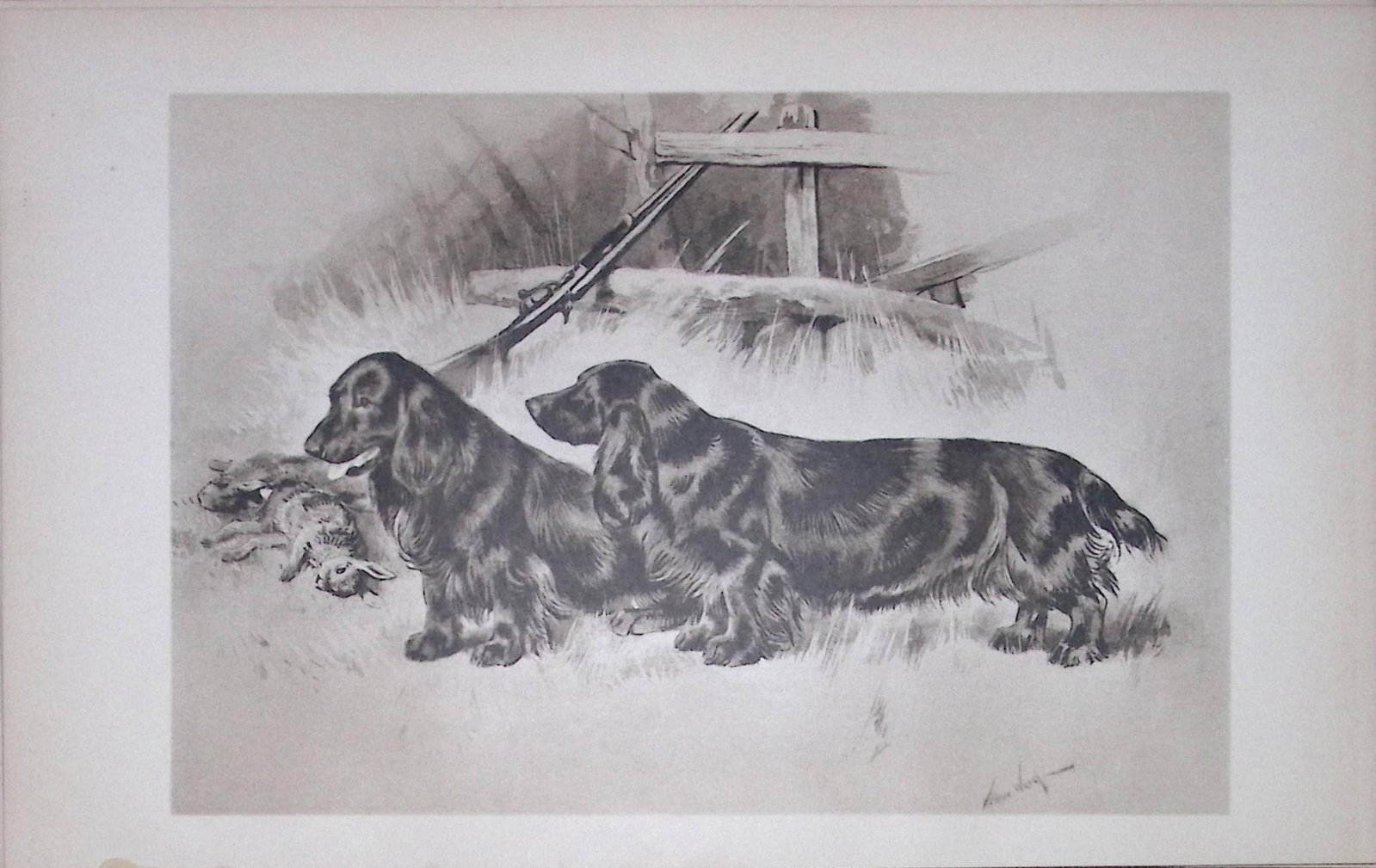 Pair Black Field Spaniels Antique Book Plate Rawdon Lee Modern Dogs 1906-64: Title: Pair Black Field Spaniels Antique Book Plate Rawdon Lee Modern Dogs 1906-64 Description: This Antique Book Plate Was Removed from an Edition of Modern Dogs by Rawdon Lee 1893. Each Print
