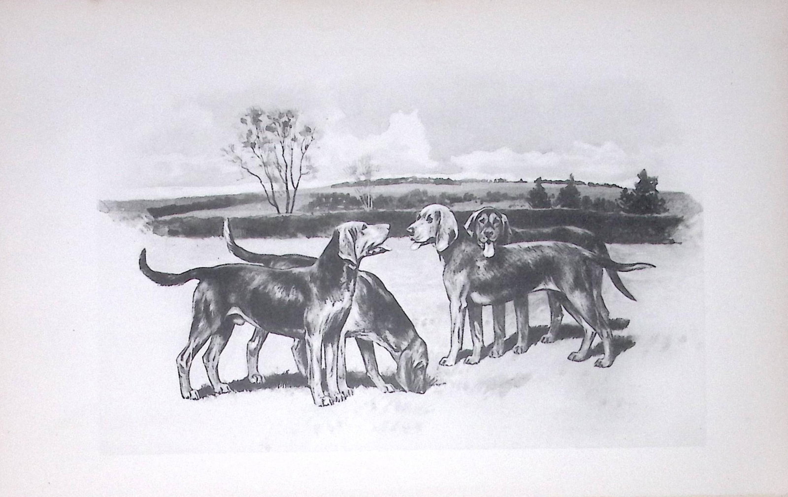 Kerry Beagles Antique Book Plate Rawdon Lee Modern Dogs 1893-27 (1 of 2)