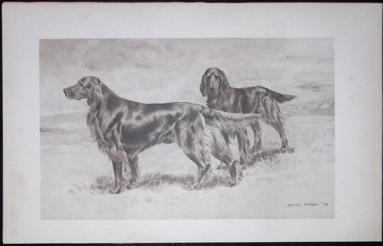 Pair of Irish Setters Antique Book Plate Rawdon Lee Modern Dogs 1906-58: Title: Pair of Irish Setters Antique Book Plate Rawdon Lee Modern Dogs 1906-58 Description: This Antique Book Plate Was Removed from an Edition of Modern Dogs by Rawdon Lee 1893. Each Print Measures