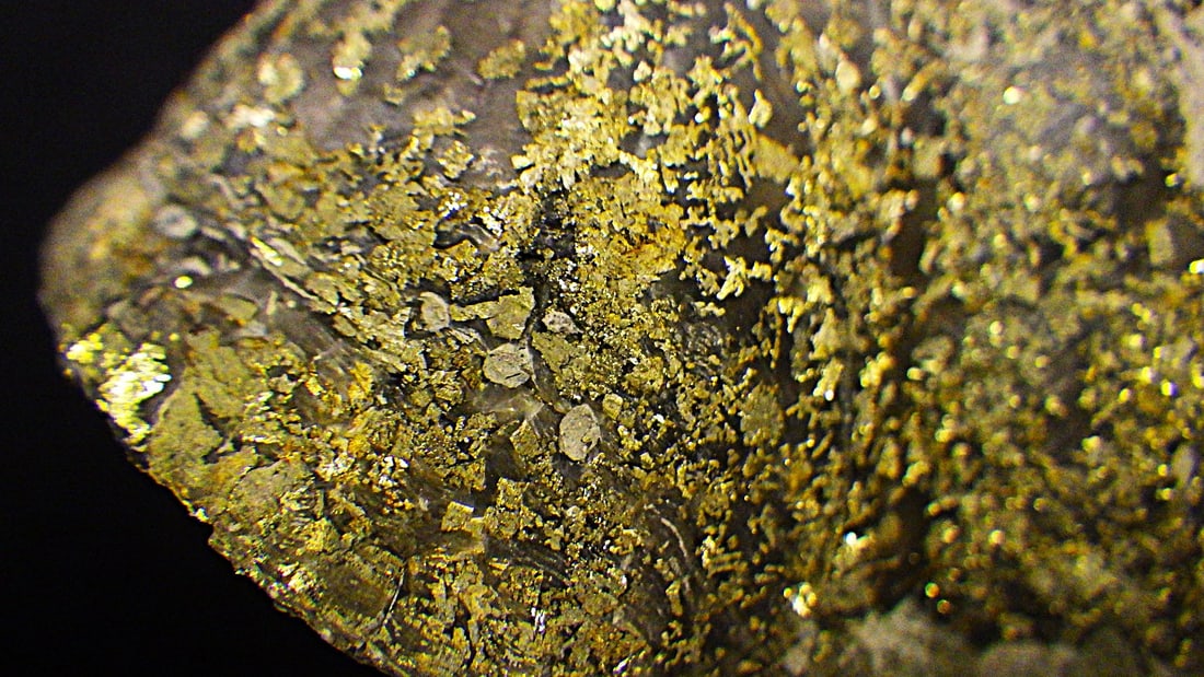 Two pyritised fossil Brachiopods 350 m.y.o. from USA - 6