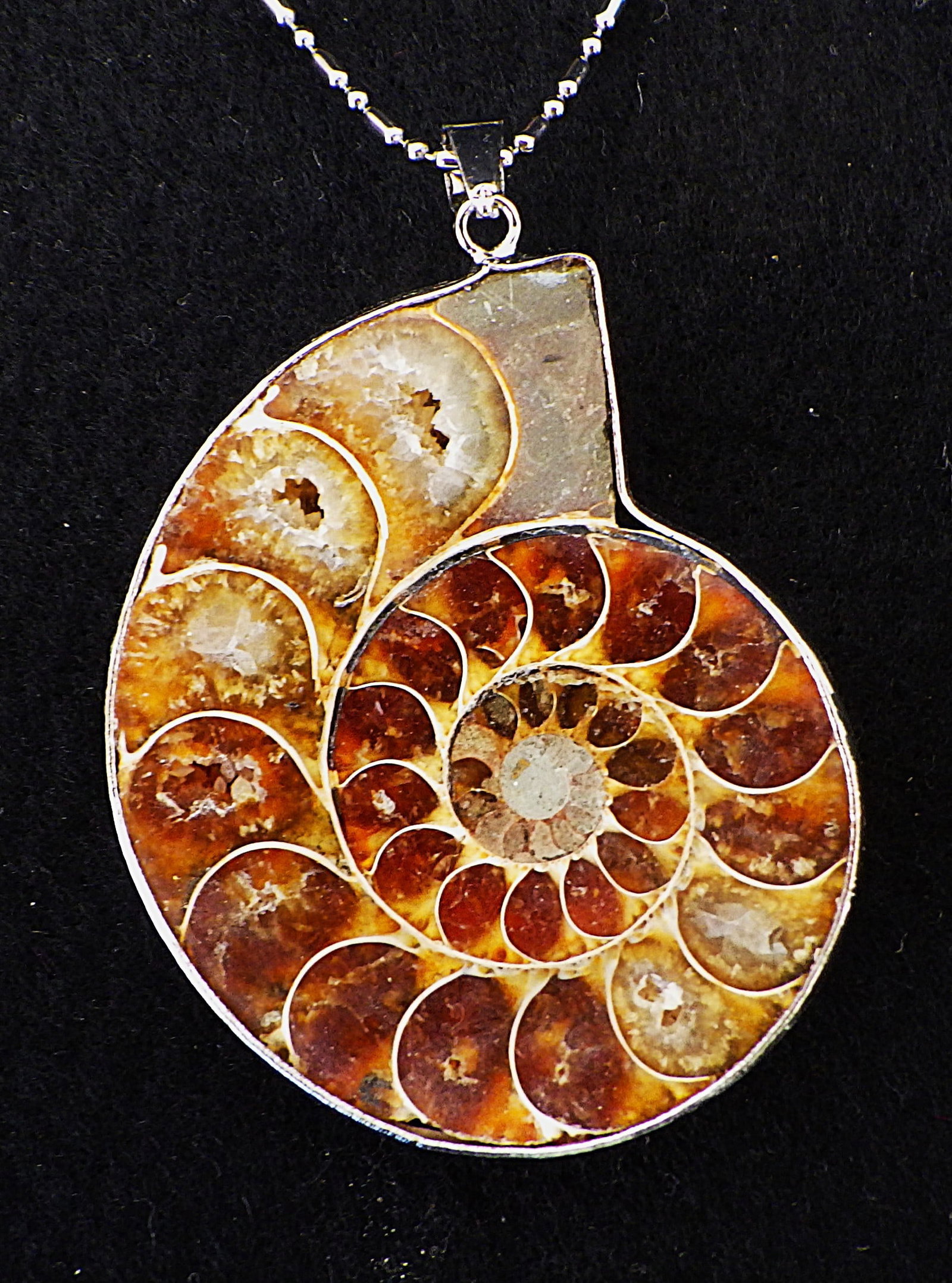 Ammonite brooch & necklace set - 2