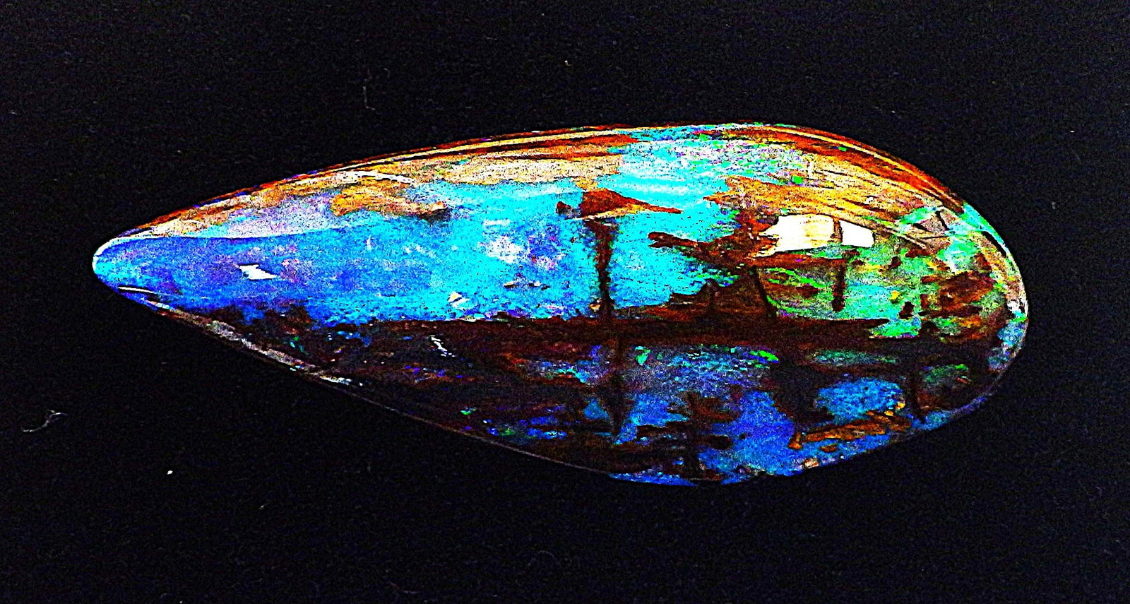 Rare Australian black opal fossil wood 20 carats - 2