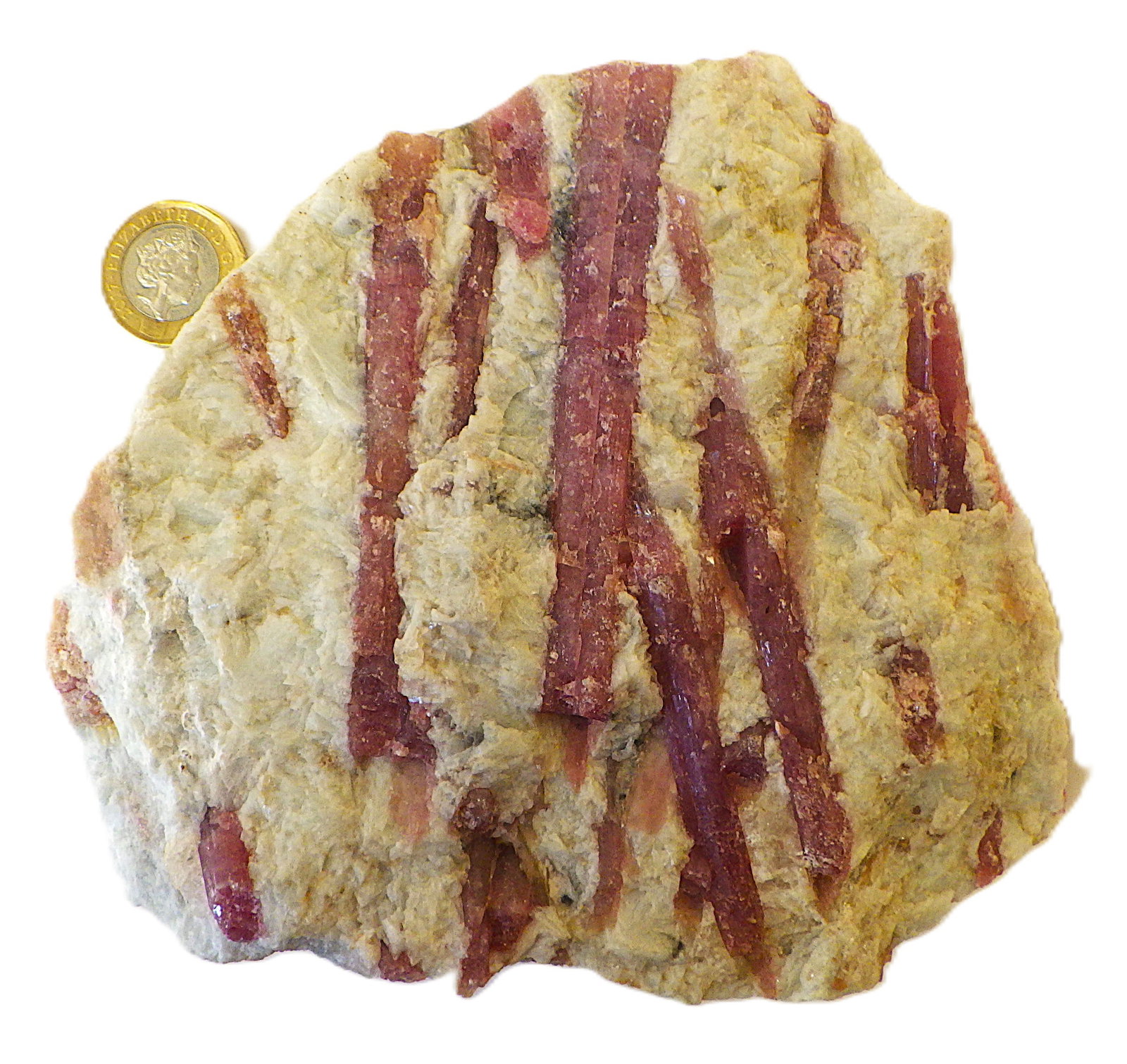 Large rubellite crystals 13 cm in matrix 888 g.: Title: Large rubellite crystals 13 cm in matrix 888 g. Description: A rare and collectible, substantial, specimen of numerous large (up to 13 cm), RUBELLITE, natural crystals in their matrix.