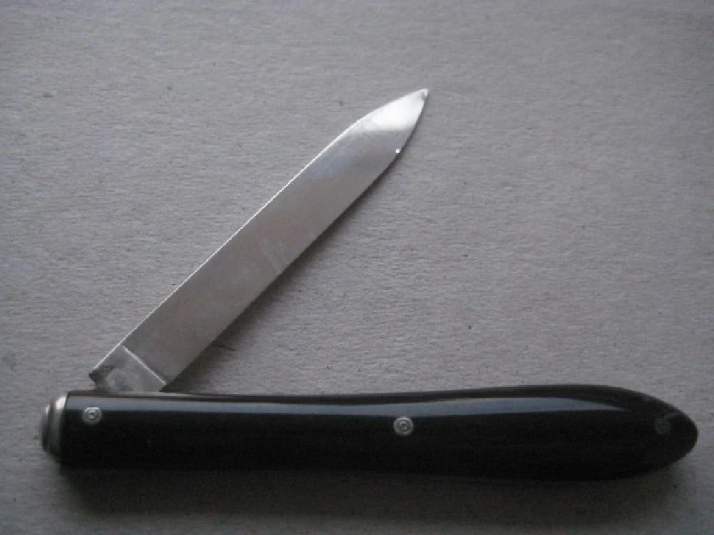 Rare French Silver Bladed Folding Fruit Knife - 3