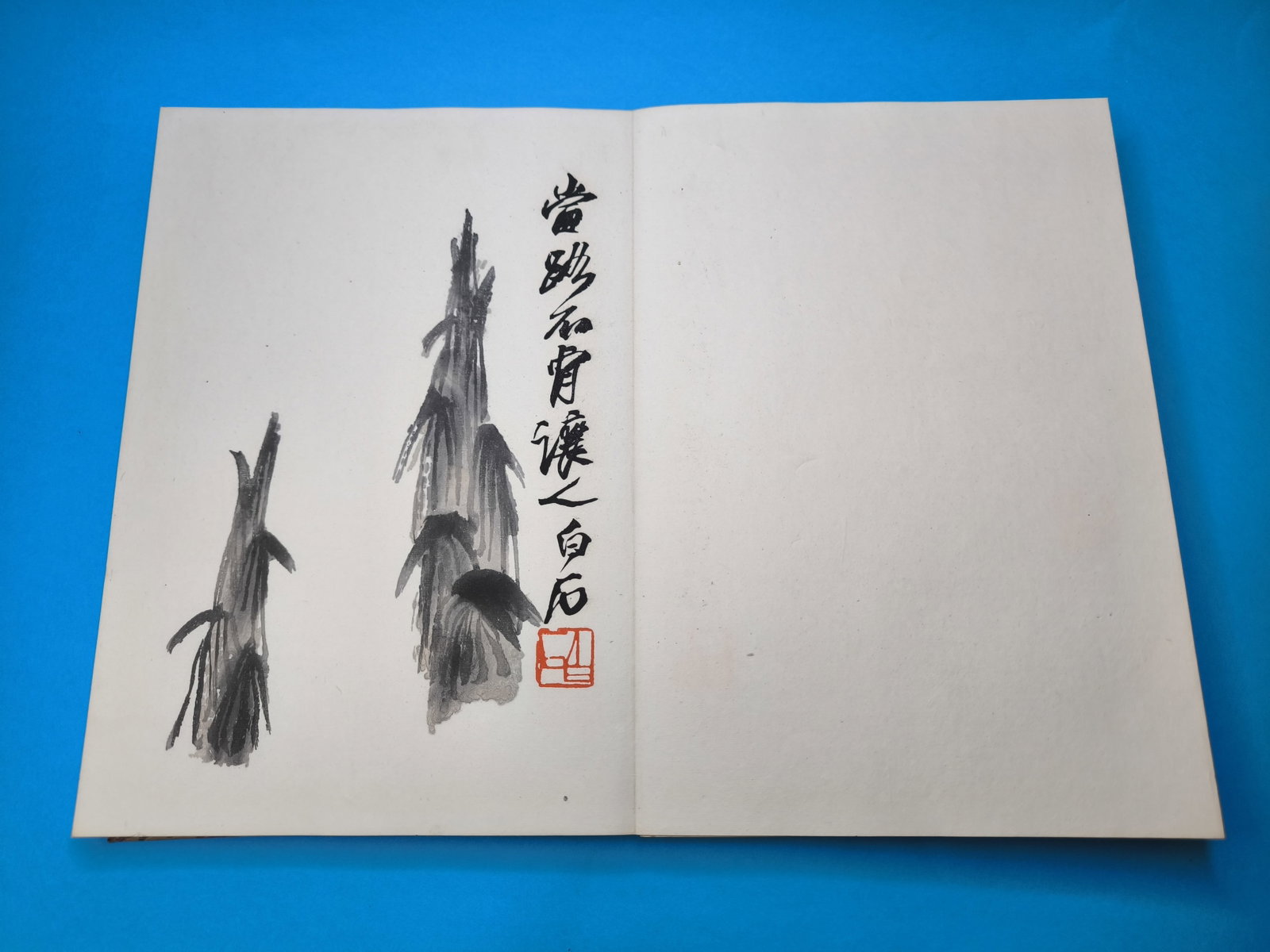 Book with 22 woodcuts in colours, "Qi Baishi hua ji", published by Rong Bao Zhai xin ji Beijing 1... - 13