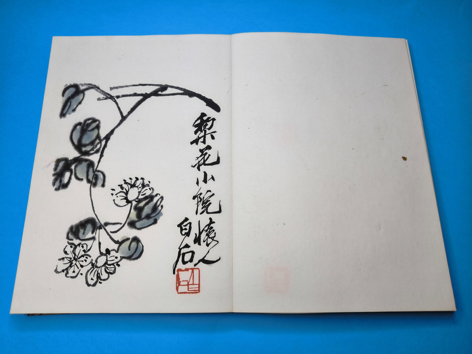 Book with 22 woodcuts in colours, "Qi Baishi hua ji", published by Rong Bao Zhai xin ji Beijing 1... - 8