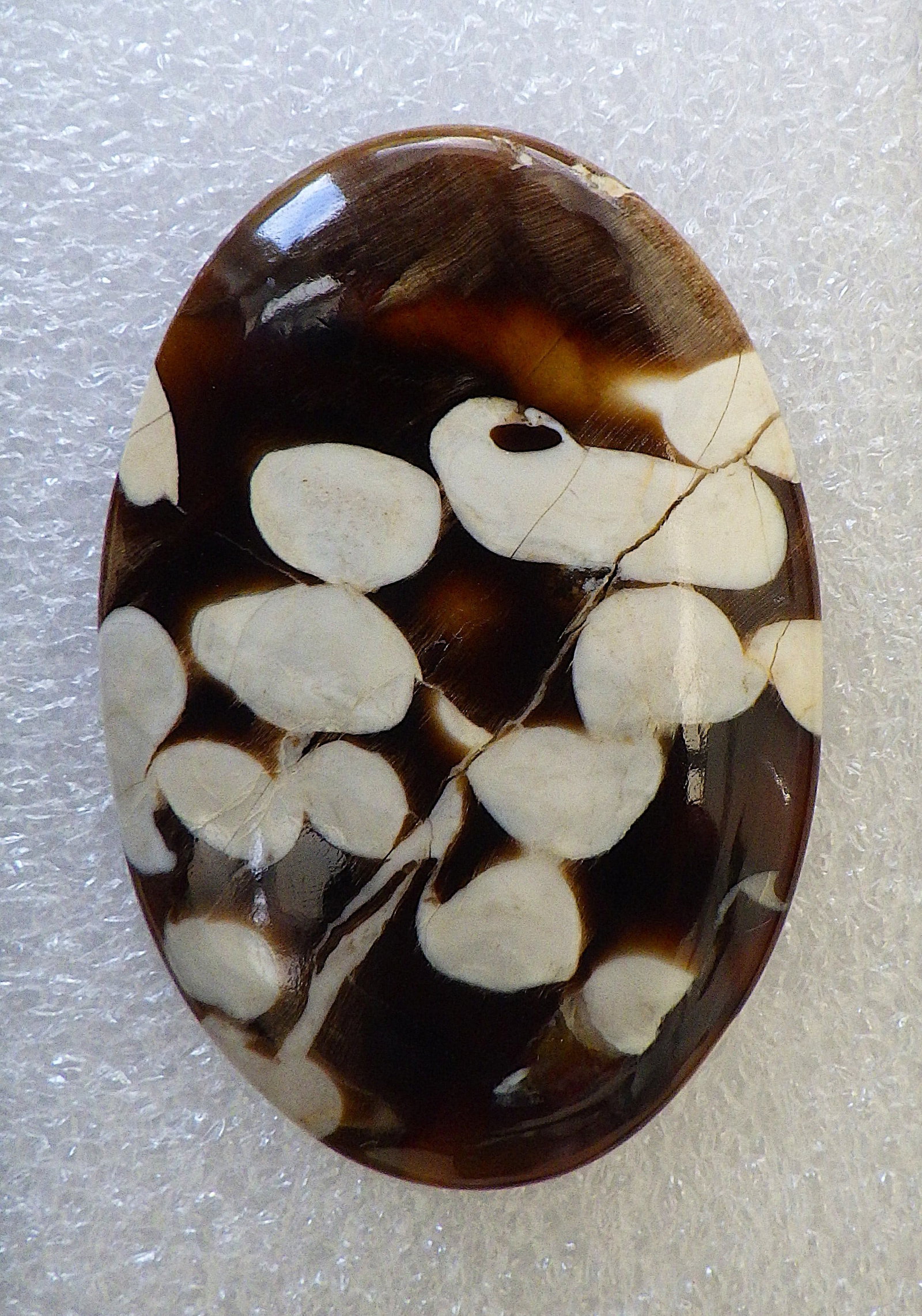 Large 62 carats fossil "peanut wood" cabochon: Title: Large 62 carats fossil "peanut wood" cabochon Description: A rare, palaeontological gem, a large (62 carats), unusual, petrified driftwood, often called PEANUT WOOD, oval cabochon. Its