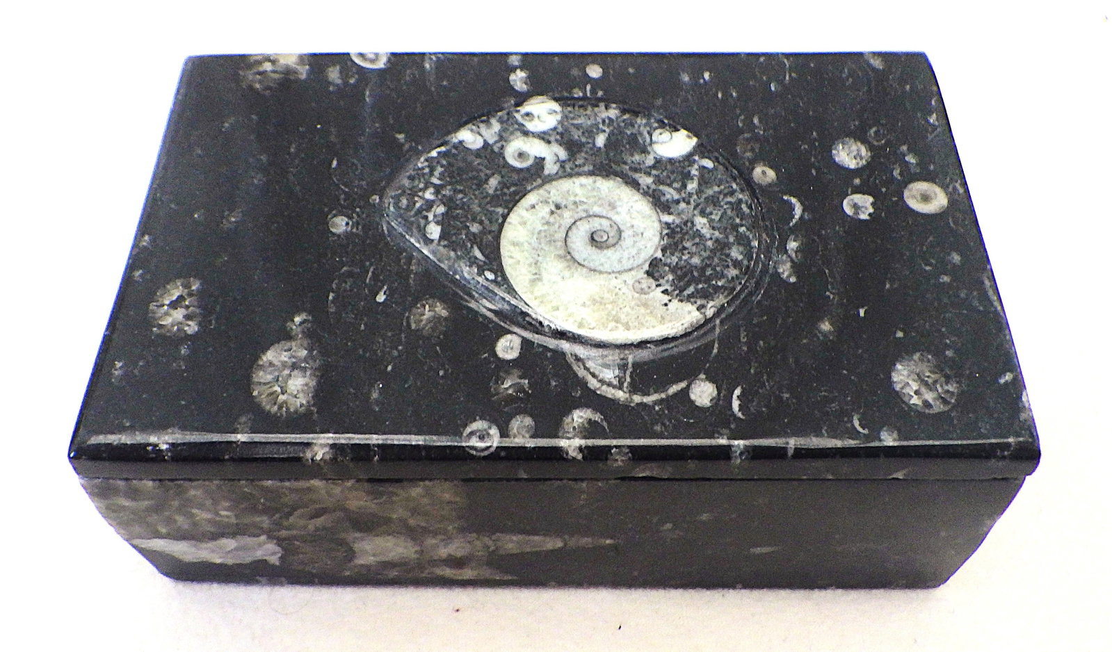 Necklace, bracelet & earrings with jade and Ammonites in Ammonite box - 5