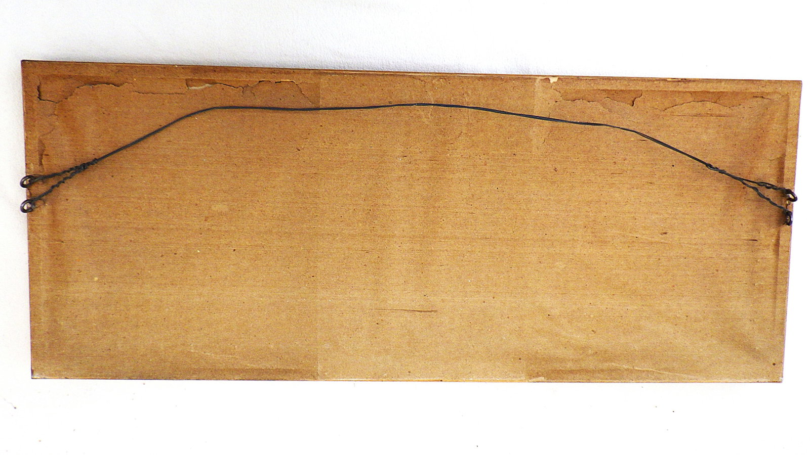 Fossil Mesosaurus complete skeleton from Brazil 278 m.y.o. - 5